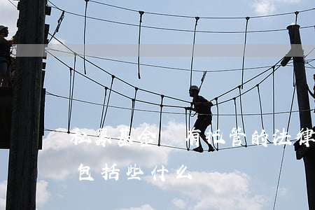 私募基金沒有托管的法律風(fēng)險包括些什么