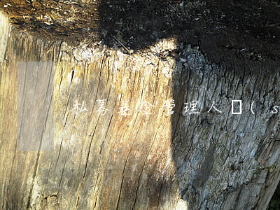 私募基金管理人數(shù)量怎么樣