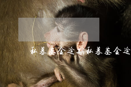 私募基金逾期 私募基金逾期未清算說明