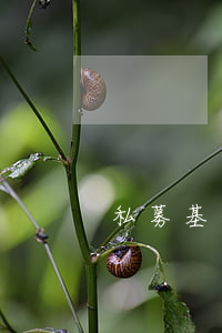 私募基金風險評級機構(gòu)是怎樣的