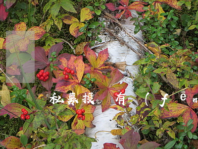 私募投資有風(fēng)險(xiǎn)嗎