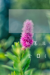 私募法律法規(guī)一共多少(私募基金監(jiān)管法律法規(guī)有哪些)