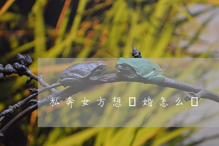 私奔女方想離婚怎么辦