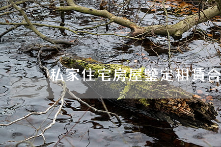 私家住宅房屋鑒定租賃合同