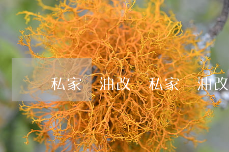 私家車油改氣(私家車油改氣)