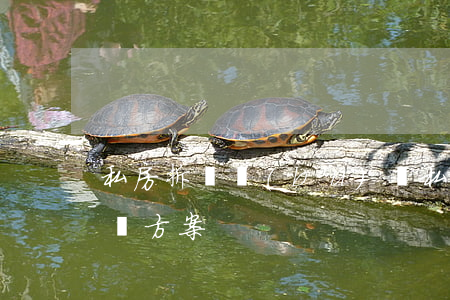 私房拆遷補(bǔ)償(私房拆遷補(bǔ)償方案)