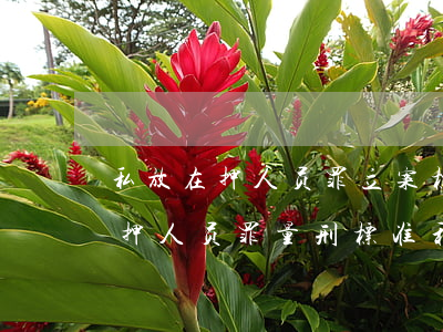 私放在押人员罪立案标准_2021私放在押人员罪量刑标准和认定构成要件