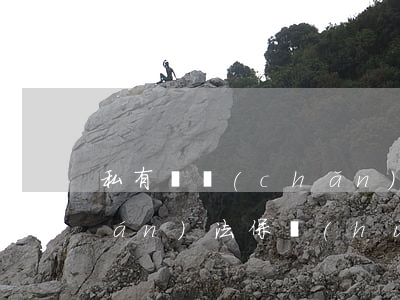 私有財產(chǎn)要怎么用物權(quán)法保護(hù)