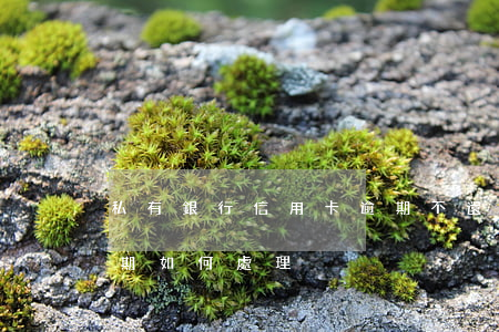 私有銀行信用卡逾期不還(多家銀行信用卡逾期如何處理)