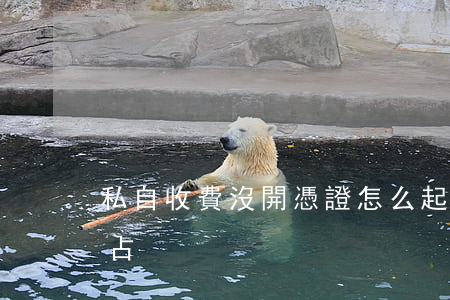 私自收費沒開憑證怎么起訴職務(wù)侵占