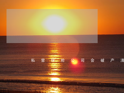 私营保险公司会破产清算吗