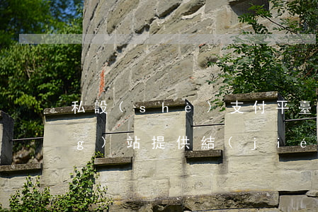 私設(shè)支付平臺為賭博網(wǎng)站提供結(jié)算行為的定性