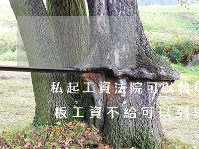 私起工資法院可以執(zhí)行嗎(私人老板工資不給可以到法院起訴嗎?)