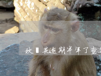 秋唄花逾期半年了查案清單啥意思