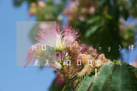 科創(chuàng)律師事務(wù)所是真的嗎(錦創(chuàng)律師事務(wù)所正規(guī)嗎)