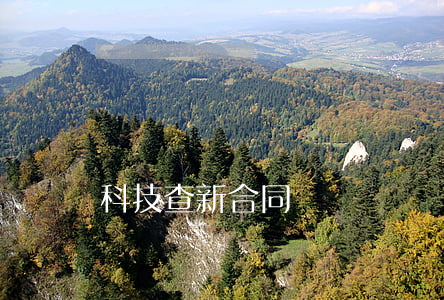 科技查新合同