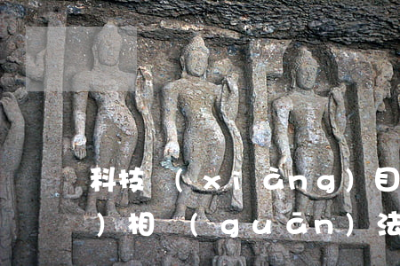 科技項(xiàng)目招投標(biāo)相關(guān)法律法規(guī)(關(guān)于招投標(biāo)法的法律法規(guī))