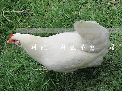 科比為什么不想離婚