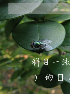 科目一法律法規(guī)有關(guān)的題目(科目一出題規(guī)則)
