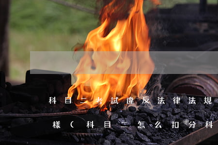 科目二考試違反法律法規(guī)會怎么樣(科目二怎么扣分科目二專項評判扣分標(biāo)準(zhǔn))