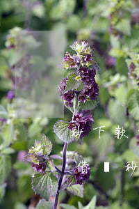 秒下款的小額網(wǎng)貸app(小額借貸秒下款)