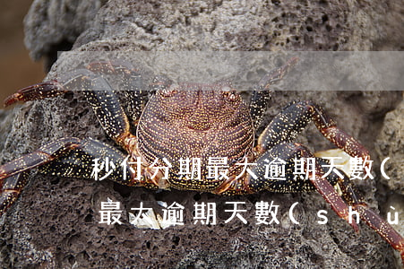 秒付分期最大逾期天數(shù)(秒付分期最大逾期天數(shù))