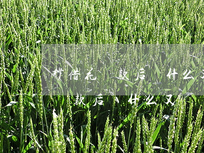 秒借花還款后為什么又說沒有還呢-秒借花還款后為什么又說沒有還呢怎么回事