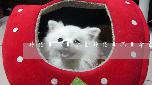 秒借貸只還本金(秒借貸只還本金)