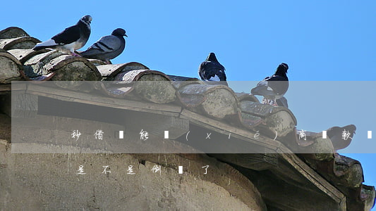 秒借貸能協(xié)商還款嗎.(秒借貸款是不是倒閉了)