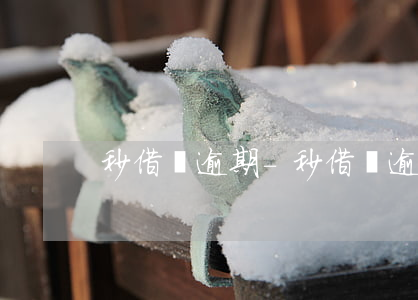 秒借貸逾期-秒借貸逾期