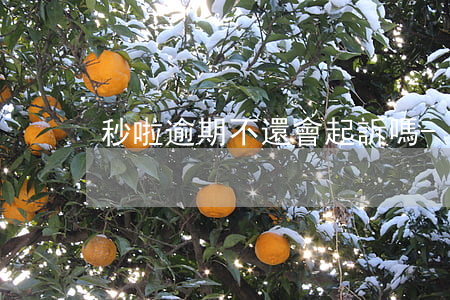 秒啦逾期不還會起訴嗎-秒啦不還款會怎樣