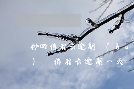 秒回信用卡逾期會(huì)凍結(jié)嗎(信用卡逾期一天會(huì)凍結(jié)額度嗎)
