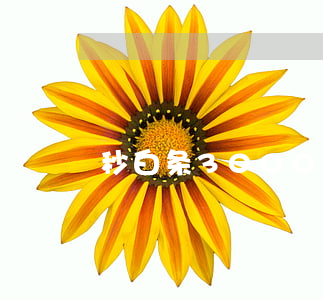 秒白条3000逾期(白条逾期3000块)