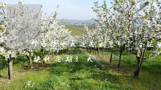 秒白条一天逾期利息45合法吗-白条20块钱逾期3天