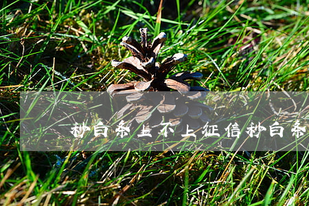 秒白条上不上征信（秒白条逾期上征信）