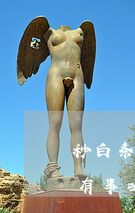 秒白条没逾期被拒一天(白条不小心逾期1天有事吗)