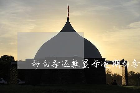 秒白条还款显示逾期 白条逾期一天额度负了