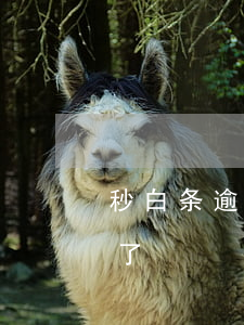 秒白条逾期11天(白条逾期一天额度就没有了)
