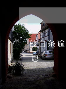 秒白条逾期14天利息(秒白条逾期14天利息)