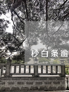 秒白条逾期一天40块(白条逾期一百元)