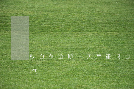 秒白条逾期一天严重吗(白条逾期一天额度降低)