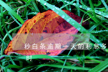 秒白条逾期一天的利息多少钱(白条逾期1小时)
