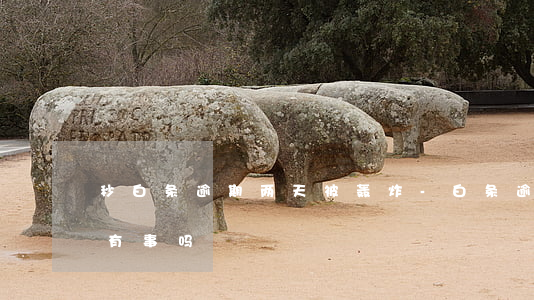 秒白条逾期两天被轰炸-白条逾期10分钟有事吗