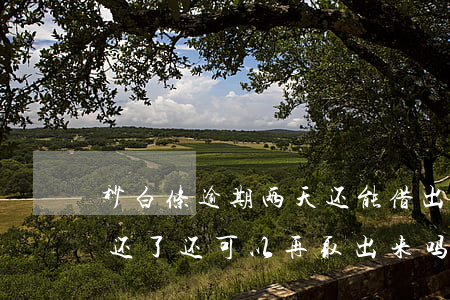 秒白条逾期两天还能借出来吗(白条逾期一天还了还可以再取出来吗?)