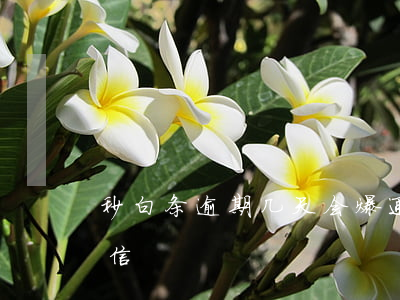 秒白条逾期几天会爆通讯录(白条逾期收到短信)