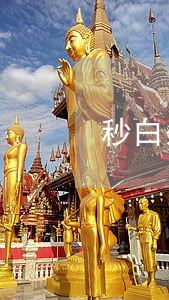 秒白条逾期多久会爆-白条能逾期多久