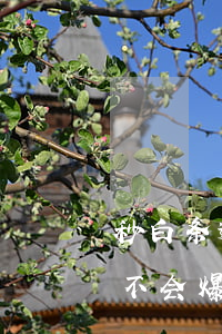 秒白条逾期多久炸通讯录(金条逾期10天会不会爆通讯录)