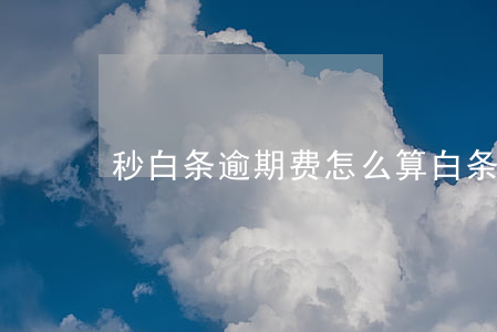 秒白条逾期费怎么算(白条逾期费用太吓人)