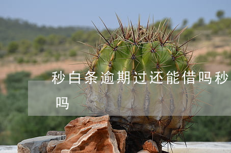 秒白条逾期过还能借吗(秒白条逾期过还能借吗)