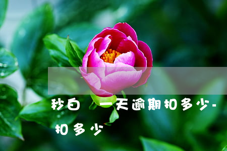 秒白條一天逾期扣多少-京東白條逾期一天扣多少錢